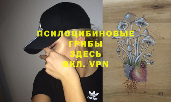 ECSTASY Абинск